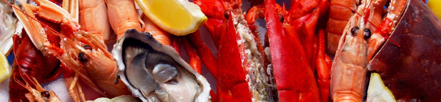 Fruits de mer Vaart
